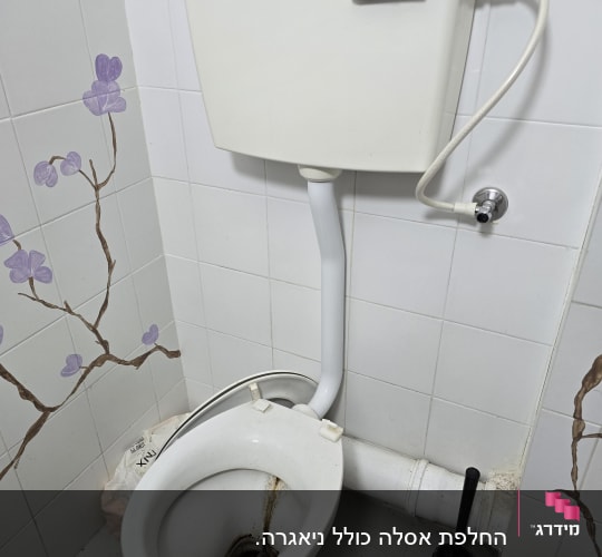 אסלה עם ניאגרה ומברשת שירותים